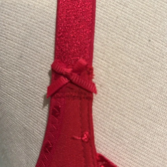 NWT Rosa Faia Cranberry Daisy Rose Underwire Bra 32D - Picture 2 of 6